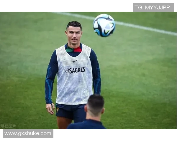 球迷冲进场内抢C罗球衣引发欧冠赛场奇葩一幕 球迷冲进场内抢C罗球衣引发欧冠赛场奇葩一幕