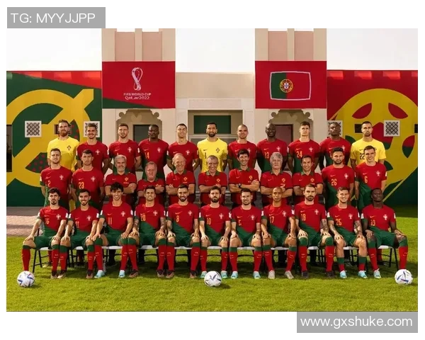 2016年欧洲杯葡萄牙国家足球队完整阵容及球员表现分析