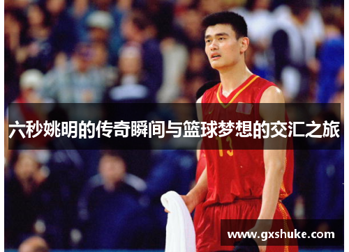 六秒姚明的传奇瞬间与篮球梦想的交汇之旅