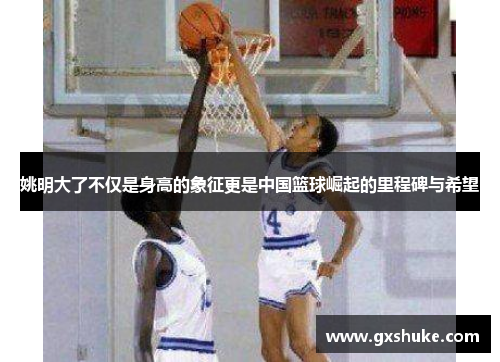 姚明大了不仅是身高的象征更是中国篮球崛起的里程碑与希望